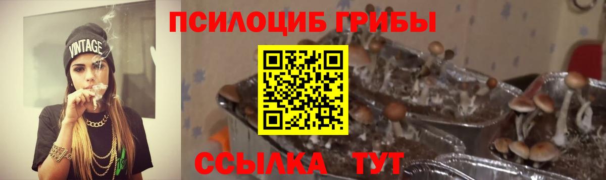Коряжма  Псилоцибиновые грибы прущие грибы  Вход с VPN  Галлюциногенные грибы Magic Shrooms 